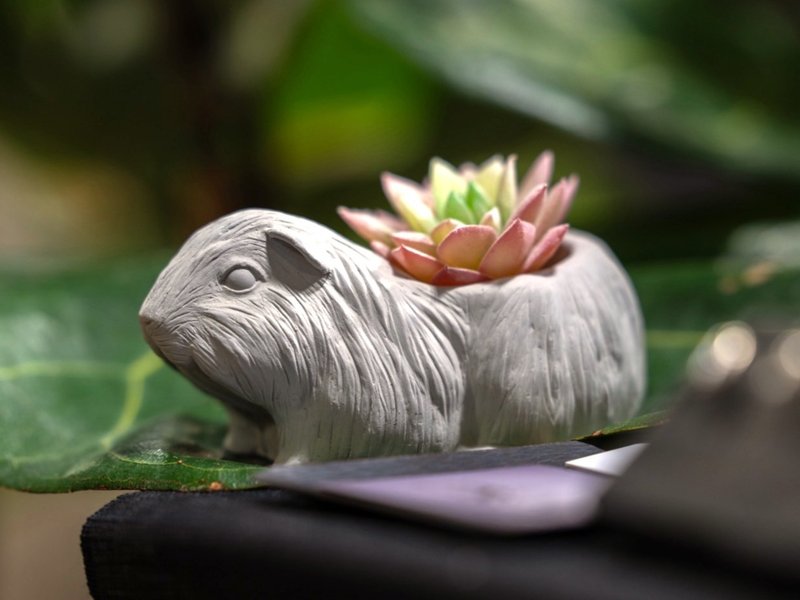 天竺鼠水泥盆栽 - 花瓶/陶器 - 水泥 灰色