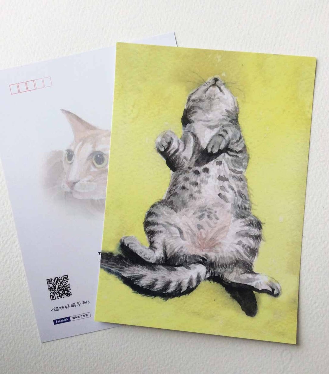 猫咪好眠系列 白猫 黑猫 虎斑猫 美短 橘猫 - 卡片/明信片 - 纸 多色