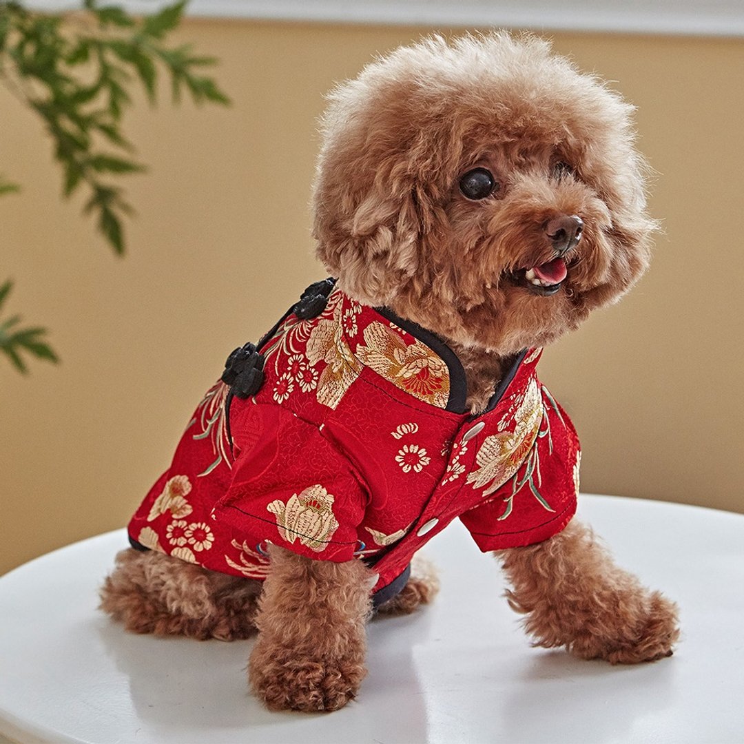 宠物衣服 旗袍 经典中国风(红) - 衣/帽 - 棉 红色