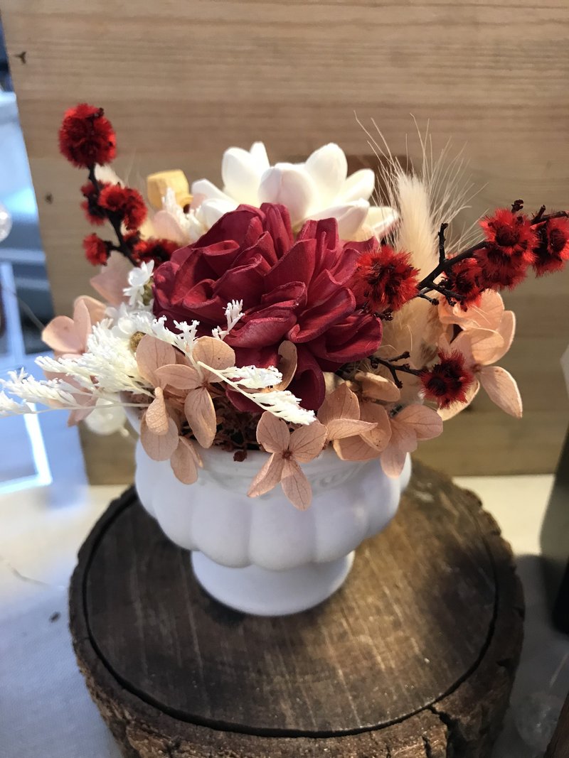 梅开眼笑 福气永生花盆花 - 干燥花/捧花 - 植物．花 红色