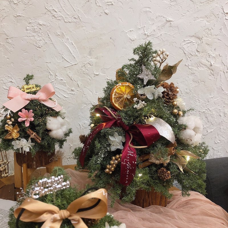 【遇见恒久】圣诞系列课程-雪地木桩雪松圣诞树【3人成班】 - 植栽 - 植物．花 