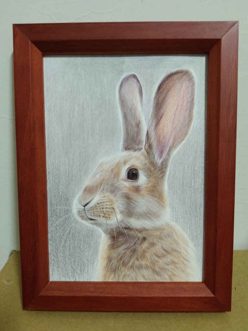 摆设 / 兔子 / 色铅笔画 / 原稿 / 含框 - 海报/装饰画/版画 - 纸 