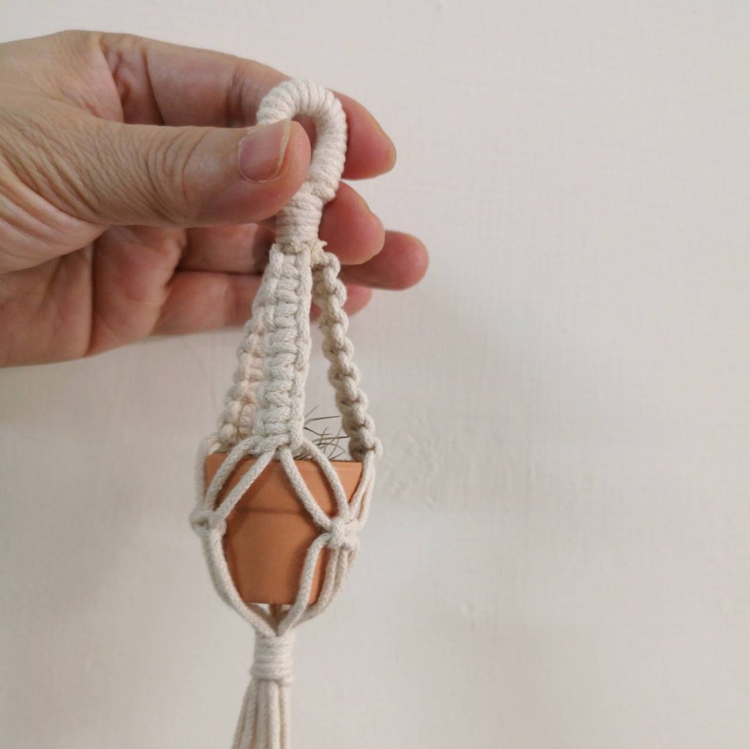 迷你植物小吊饰【 Macrame plant hanger 】3cm陶盆-三一 - 植栽/盆栽 - 棉 