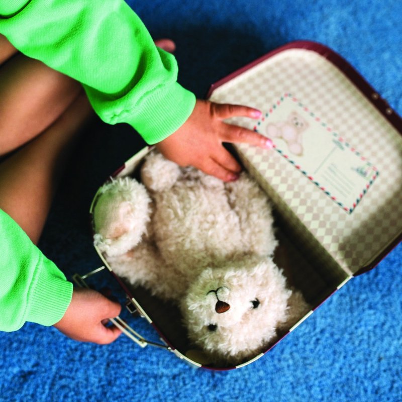 小熊盒装玩偶-旅行者弗德里克 17.5cm - 玩偶/公仔 - 其他人造纤维 多色