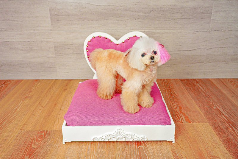 Heart symbol Dog bed Cat bed, pink fabric pet sofa bed - 其他家具 - 木头 粉红色