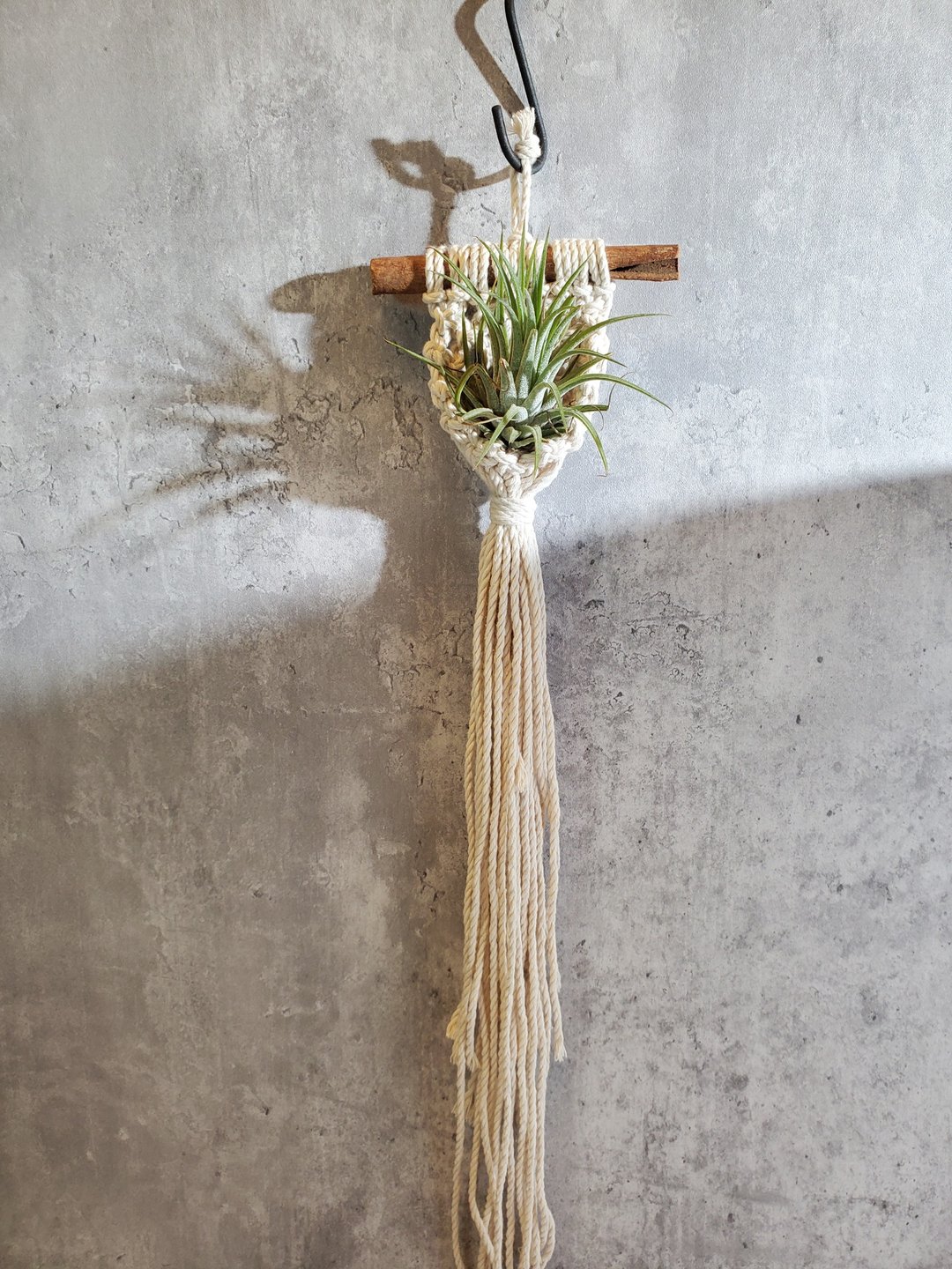 肉桂植栽吊篮 - 植栽/盆栽 - 棉 白色