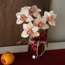 招财橘黄索拉蝴蝶兰盆花 扩香花 开幕盆花 居家摆设 送礼 乔迁