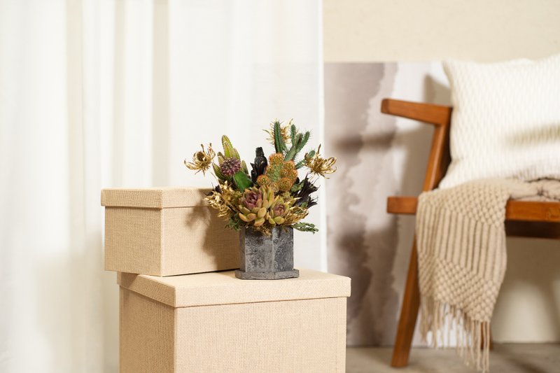 【专车配送】摇滚传奇 - 以植为礼 / 盆栽 植物 台湾设计 有肉 - 植栽/盆栽 - 植物．花 