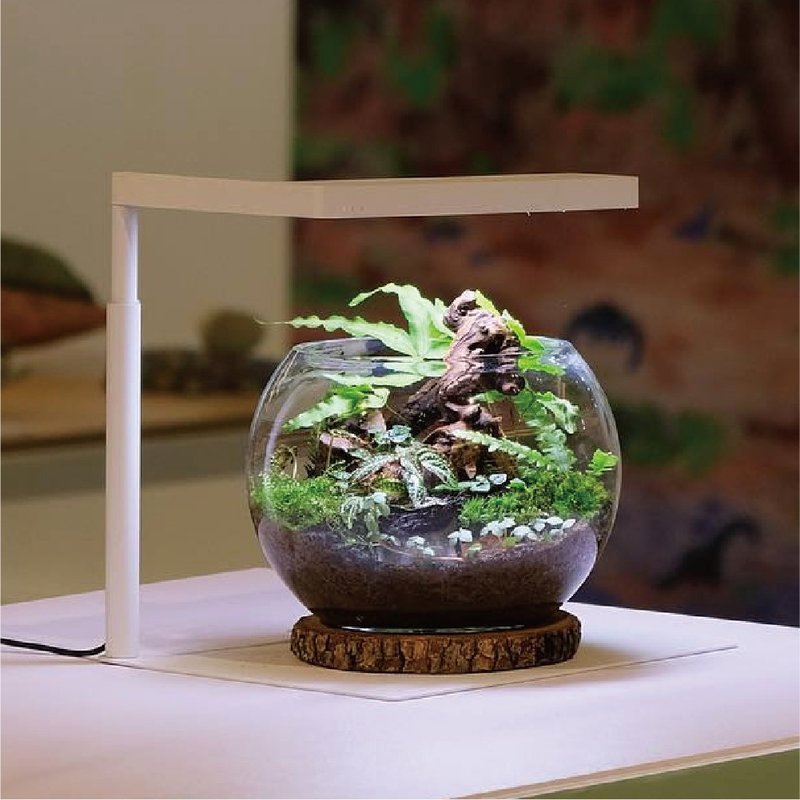 Flat Nano+ app智慧全光谱LED植物灯 白 室内植物 - 灯具/灯饰 - 其他材质 白色