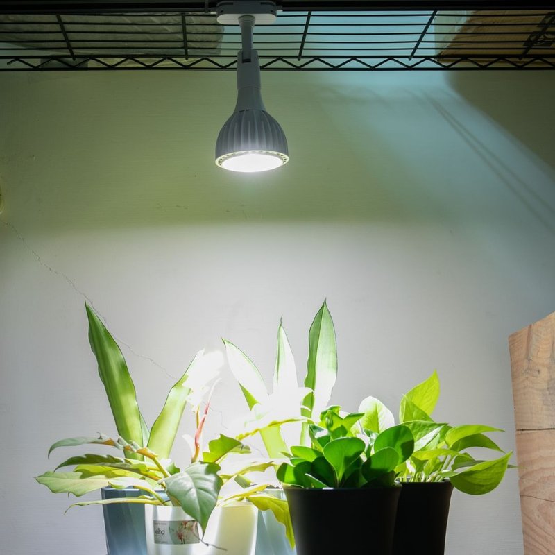ALYNA植物灯30W-轨道灯座组/植物生长灯/全光谱植物灯 - 植栽/盆栽 - 其他金属 白色