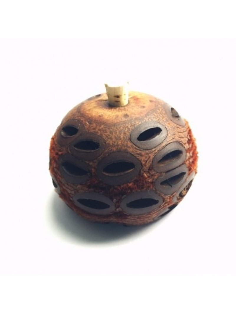 山龍眼精油擴香器 - 香薰/精油/线香 - 植物．花 