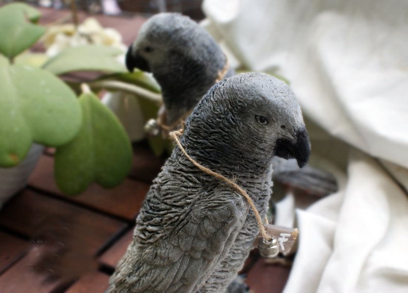 鹦鹉宠物香氛蜡烛订制 - 蜡烛/烛台 - 蜡 