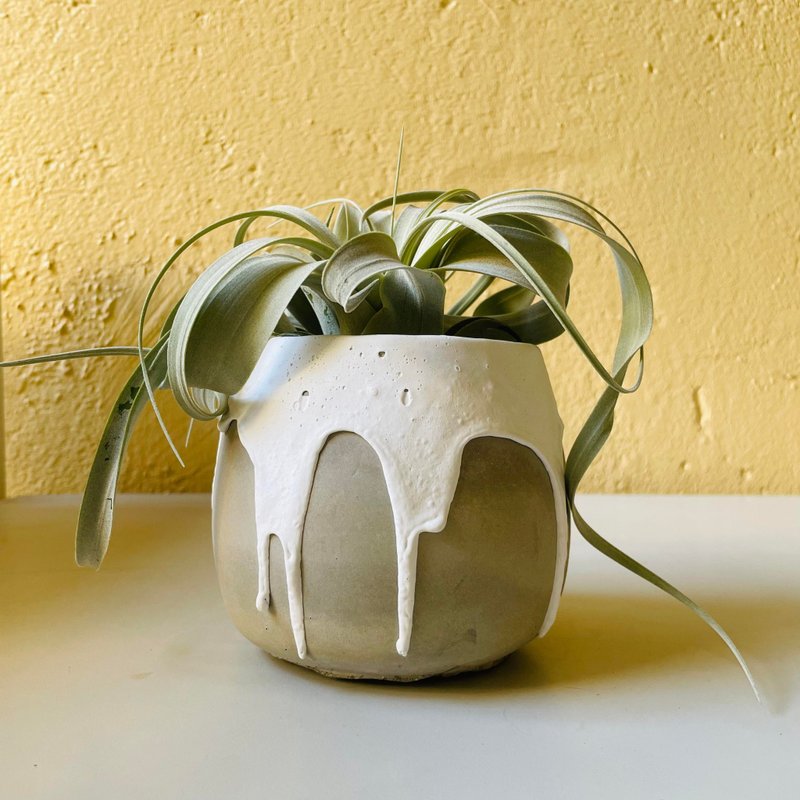 雪山奶盖融化了三寸植栽用水泥盆 - 植栽/盆栽 - 水泥 灰色