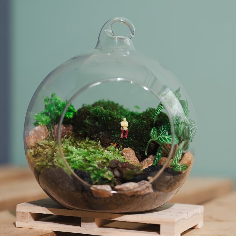 玻璃球生态－苔藓小造景 可用文化币 - 植栽 - 玻璃 