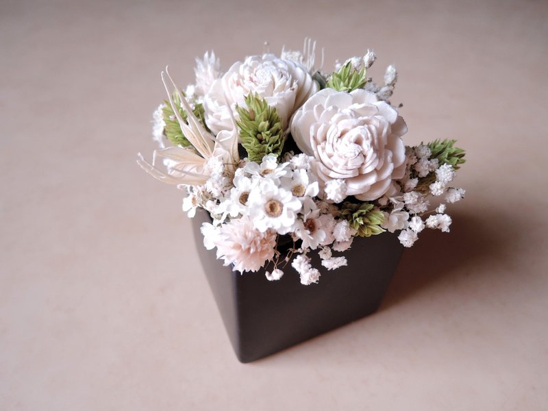 【白玫草绿】干燥小盆花 - 植栽/盆栽 - 植物．花 紫色