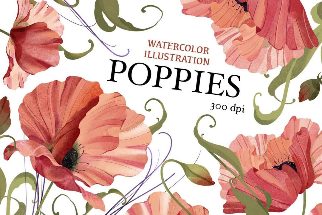Watercolor floral clipart. Wreath poppy Red flower. Poppies watercolor clipart. - 插画/绘画/写字 - 其他材质 