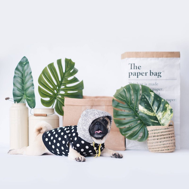 宠物衣 - 黑色圆点连帽T-恤 - 衣/帽 - 棉．麻 黑色