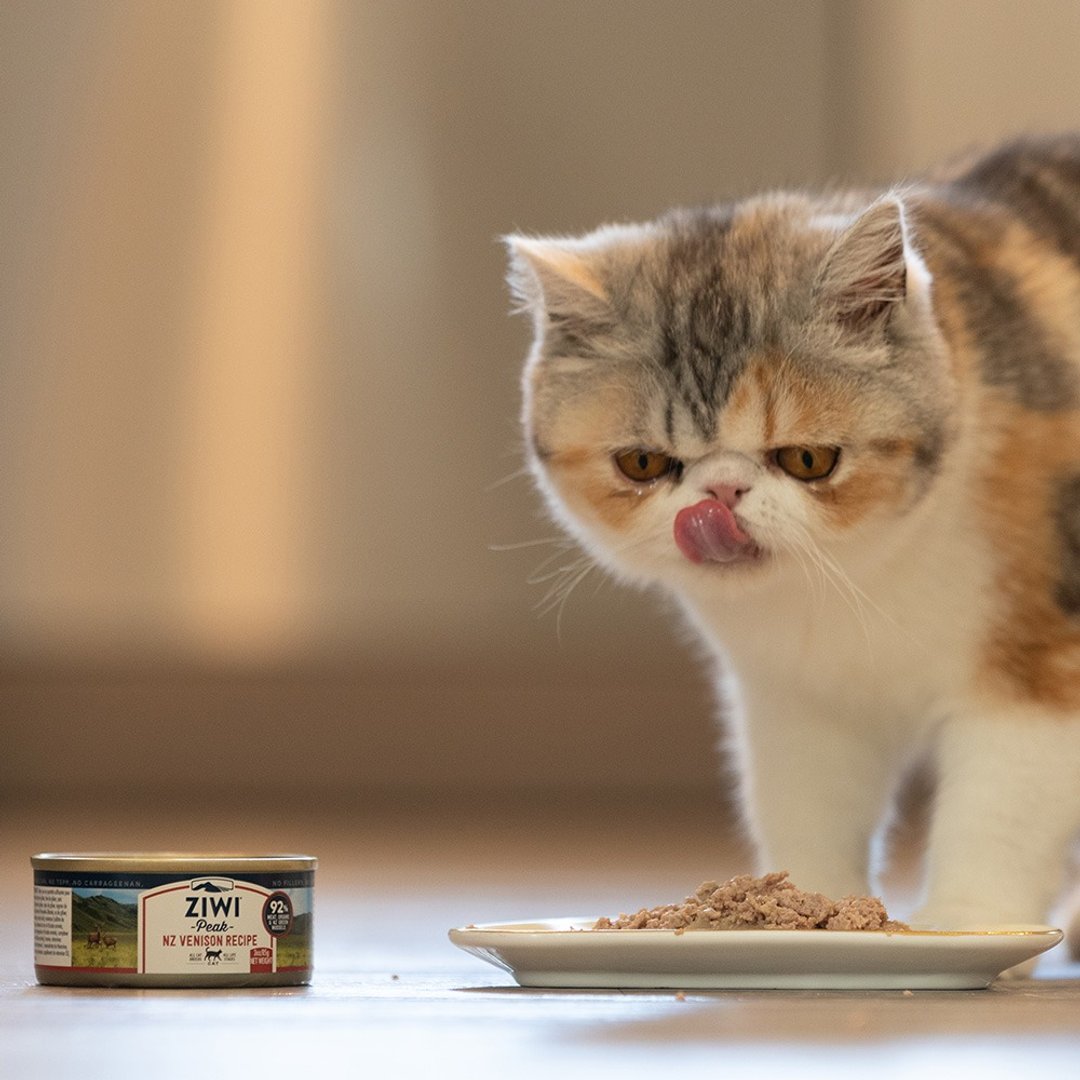 【猫主食罐】ZIWI 巅峰 鹿肉 85 克 经典系列 猫罐 无榖无胶 肉泥 - 猫罐头/鲜食 - 新鲜食材 