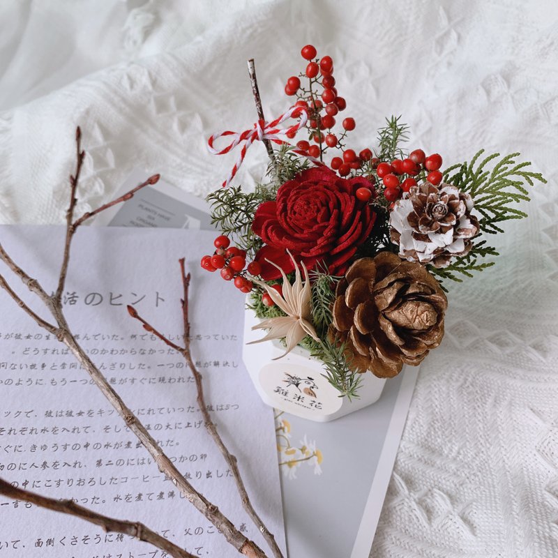 新年扩香小盆花 - 干燥花/捧花 - 植物．花 红色