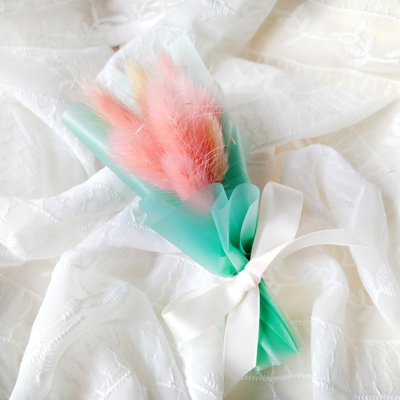 干燥花束 兔尾草  迷你花束 情人节/教师节/生日庆生/母亲节/毕业礼物 - 植栽/盆栽 - 植物．花 粉红色