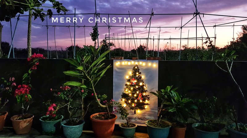 圣诞礼盒(幸)圣诞树挂布/帆布材质好清洁收纳M尺寸【定制化礼物】 - 门帘/门牌 - 防水材质 