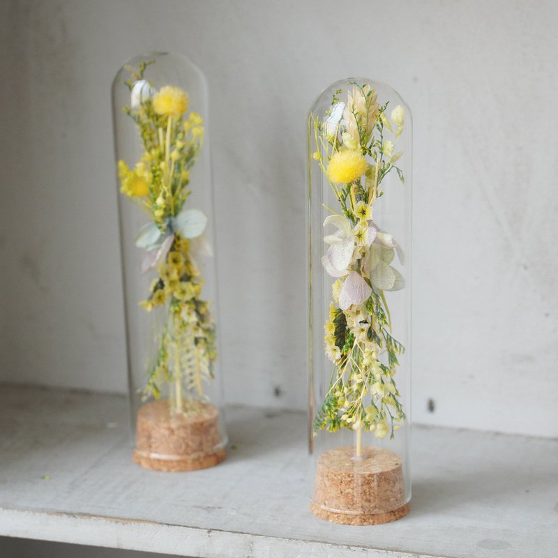 【玻璃系列】微型毕业花束试管 - 干燥花/捧花 - 植物．花 