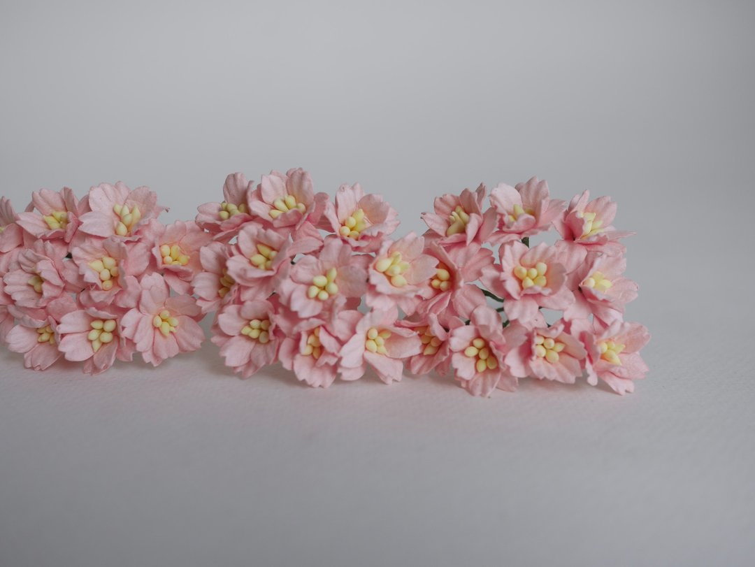 纸花，婚礼，50 件。樱花用品，2 厘米。粉红色. - 木工/竹艺/纸艺 - 纸 粉红色