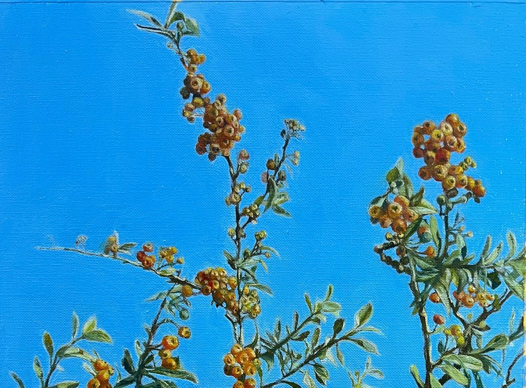 蓝天下的果树 - 海报/装饰画/版画 - 纸 