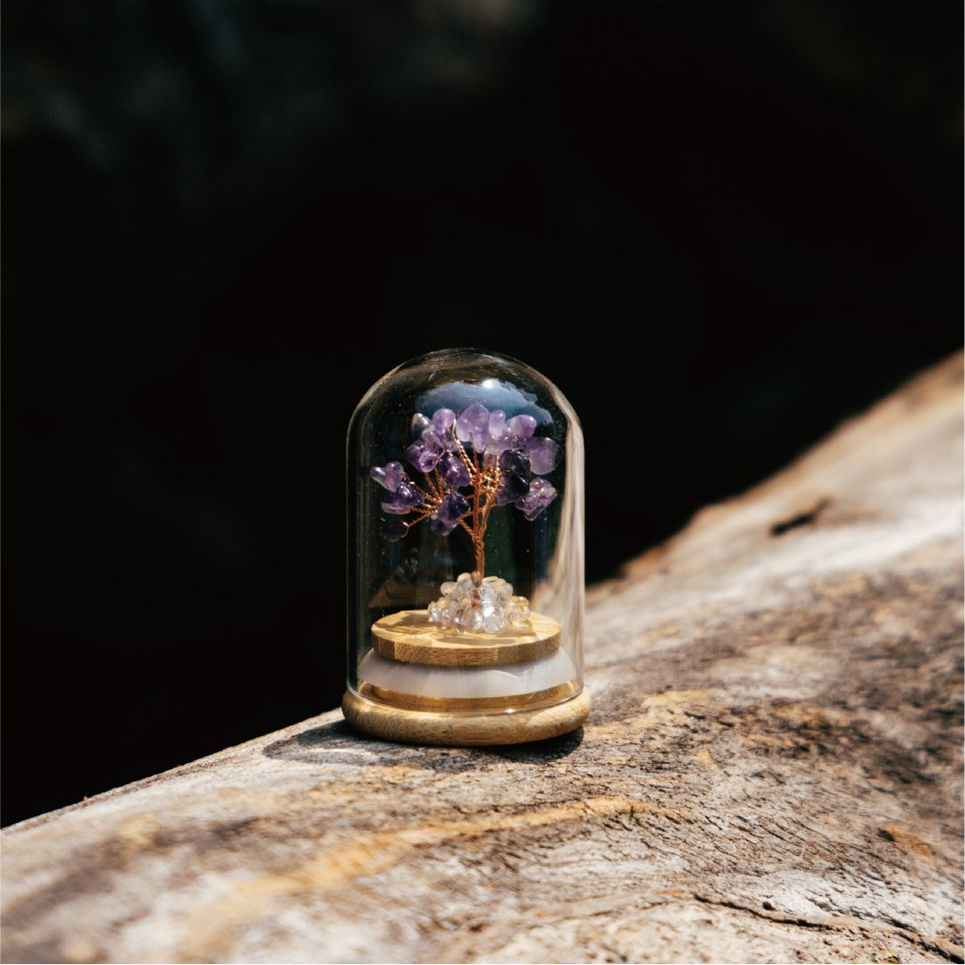 【Montagne】Preserved | 紫水晶树 | 权利。守护 - 摆饰 - 水晶 