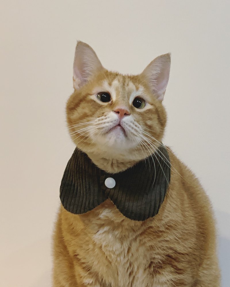 领巾自助餐   圆领灯芯绒版  -【 这不是圣诞节 绿 】 - 项圈/牵绳 - 棉．麻 绿色