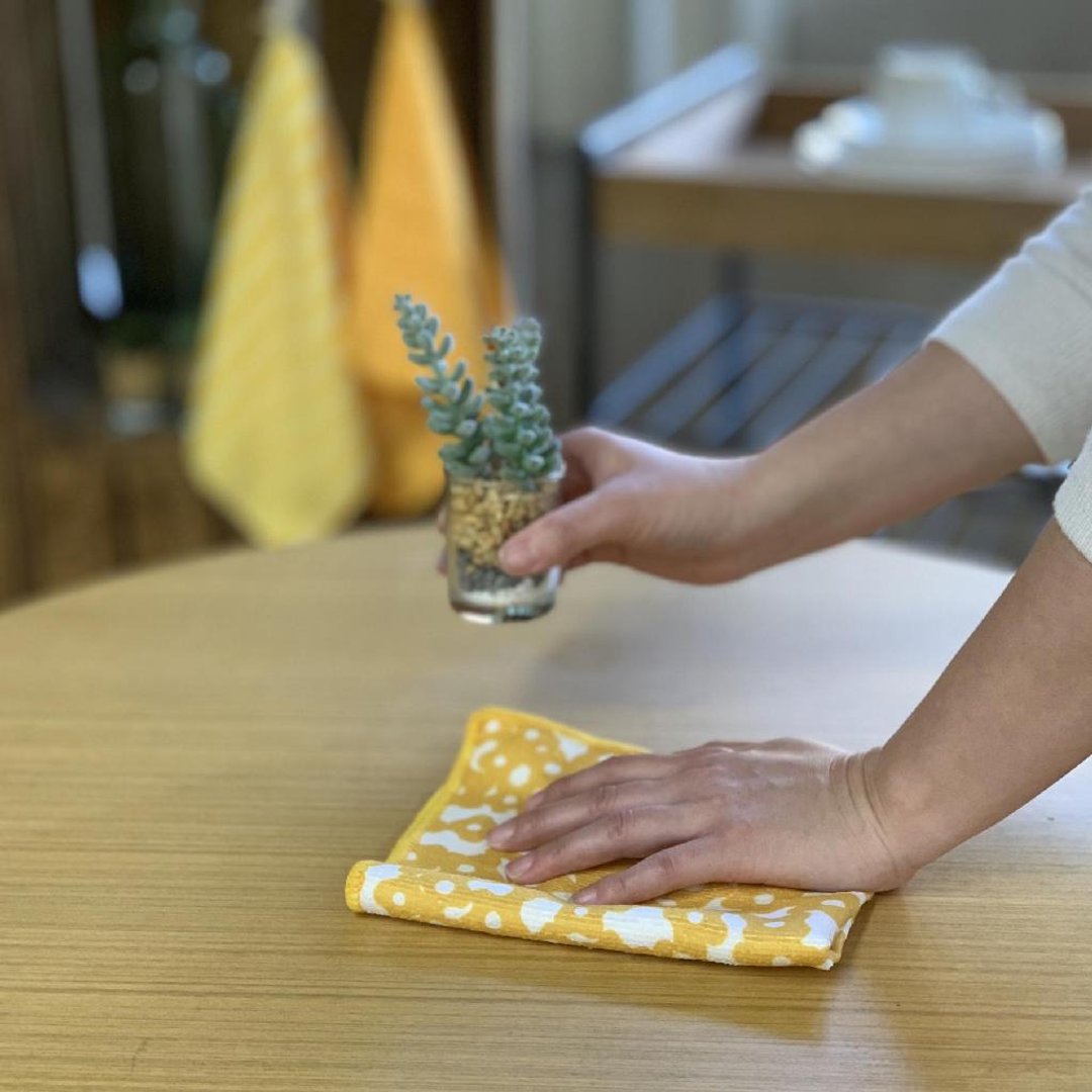 Vari 细纤维静电除尘抹布 3条组- 黄色花朵 - 其他 - 聚酯纤维 多色