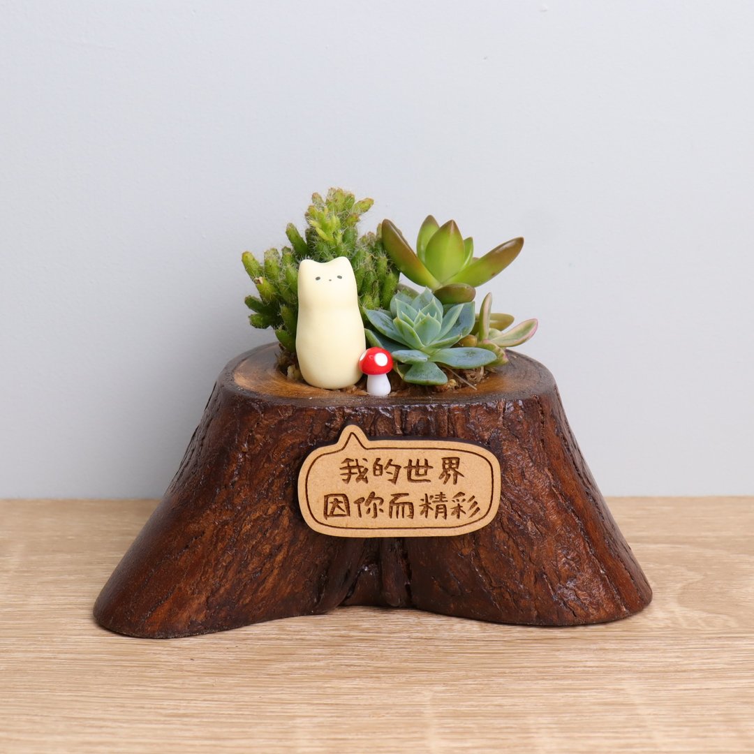 小日谜 多肉盆栽 字牌定制 原木 婚礼 生日 开幕送礼 毕业 - 植栽/盆栽 - 木头 咖啡色