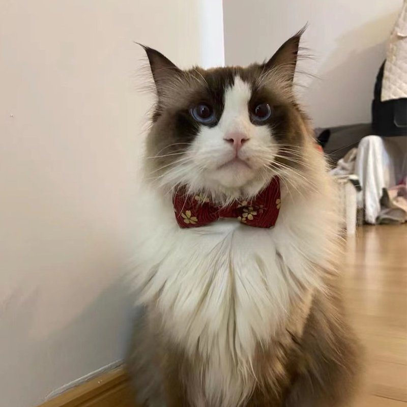 【iC原创】手工日式烫金印花领结领带 - 项圈/牵绳 - 人造皮革 