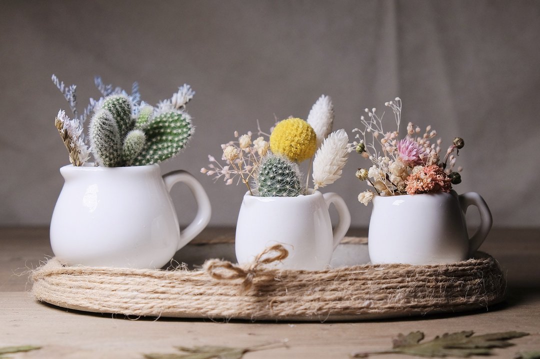 大小肉壶水泥盘 干燥花多肉盆栽DIY材料包 succulents potted - 植栽/盆栽 - 瓷 绿色