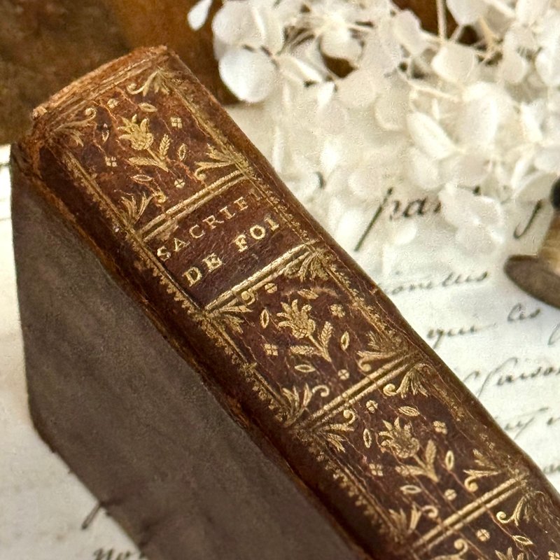 50421-珍稀18世纪法国古籍 - 刊物/书籍 - 纸 