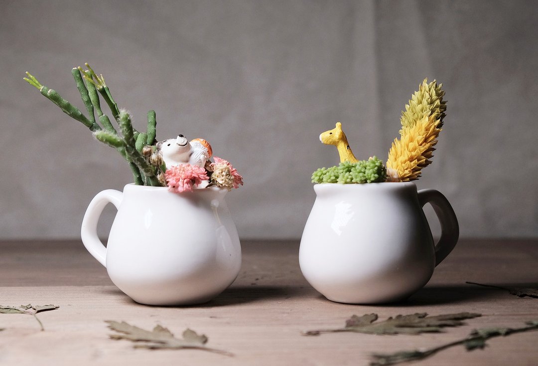 双享肉壶 干燥花多肉盆栽DIY材料包 succulents potted - 植栽/盆栽 - 瓷 多色