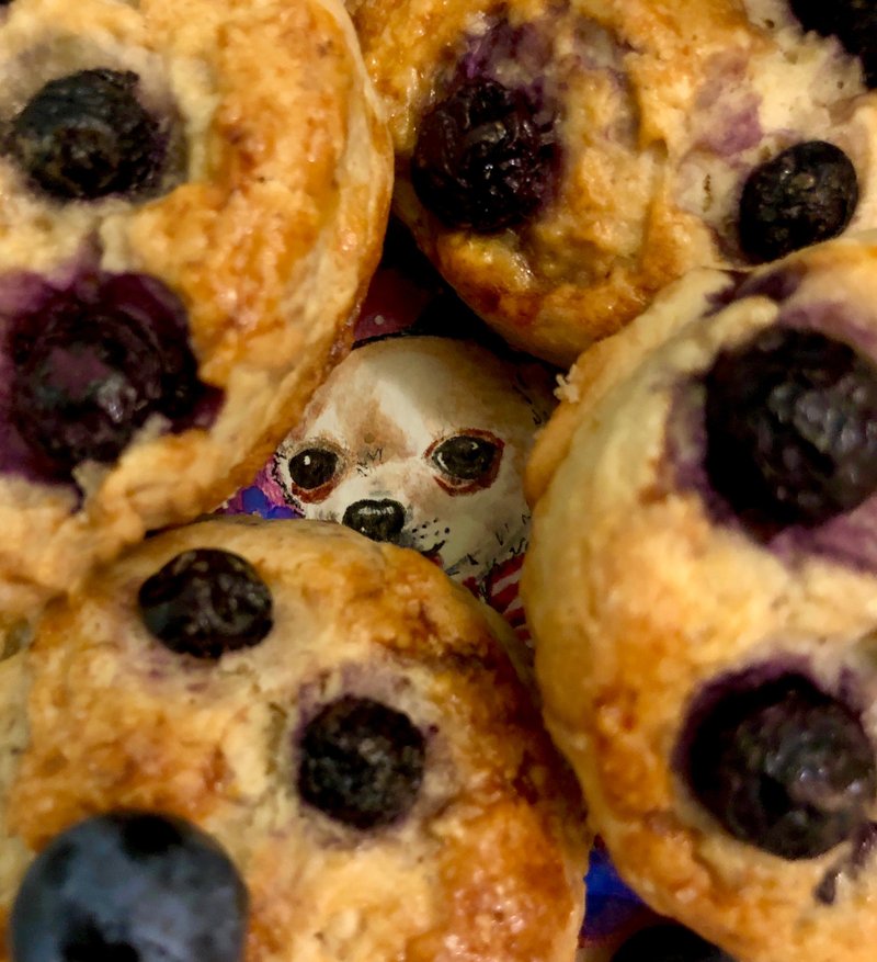 +*.海王星司康.*+吉娃娃司康-六入 Chihuahua Scone - 蛋糕/甜点 - 新鲜食材 紫色