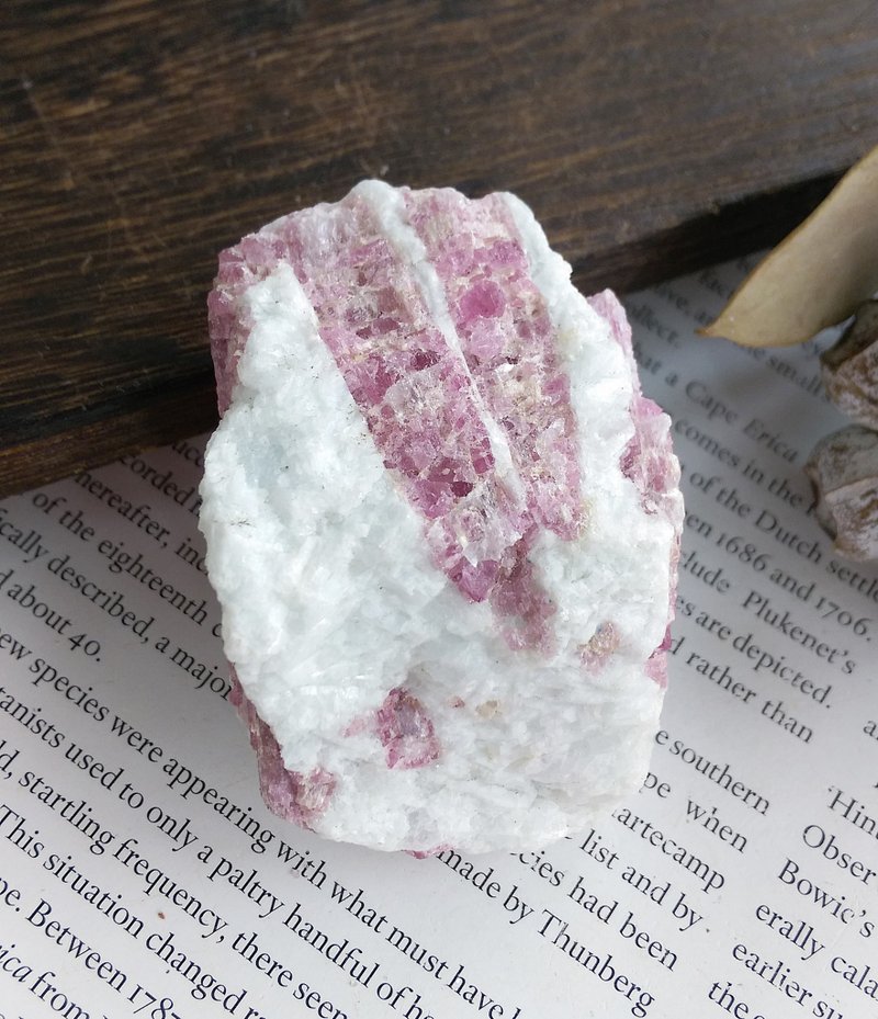 Tourmaline  巴西产地 电气石 粉碧玺 天然矿石 原矿 - 摆饰 - 其他材质 