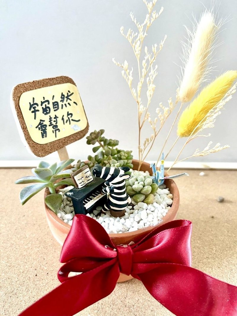 台中多肉组盆 多肉植物 日式枯山水 音乐比赛 钢琴演奏 音乐送礼 - 植栽/盆栽 - 植物．花 绿色