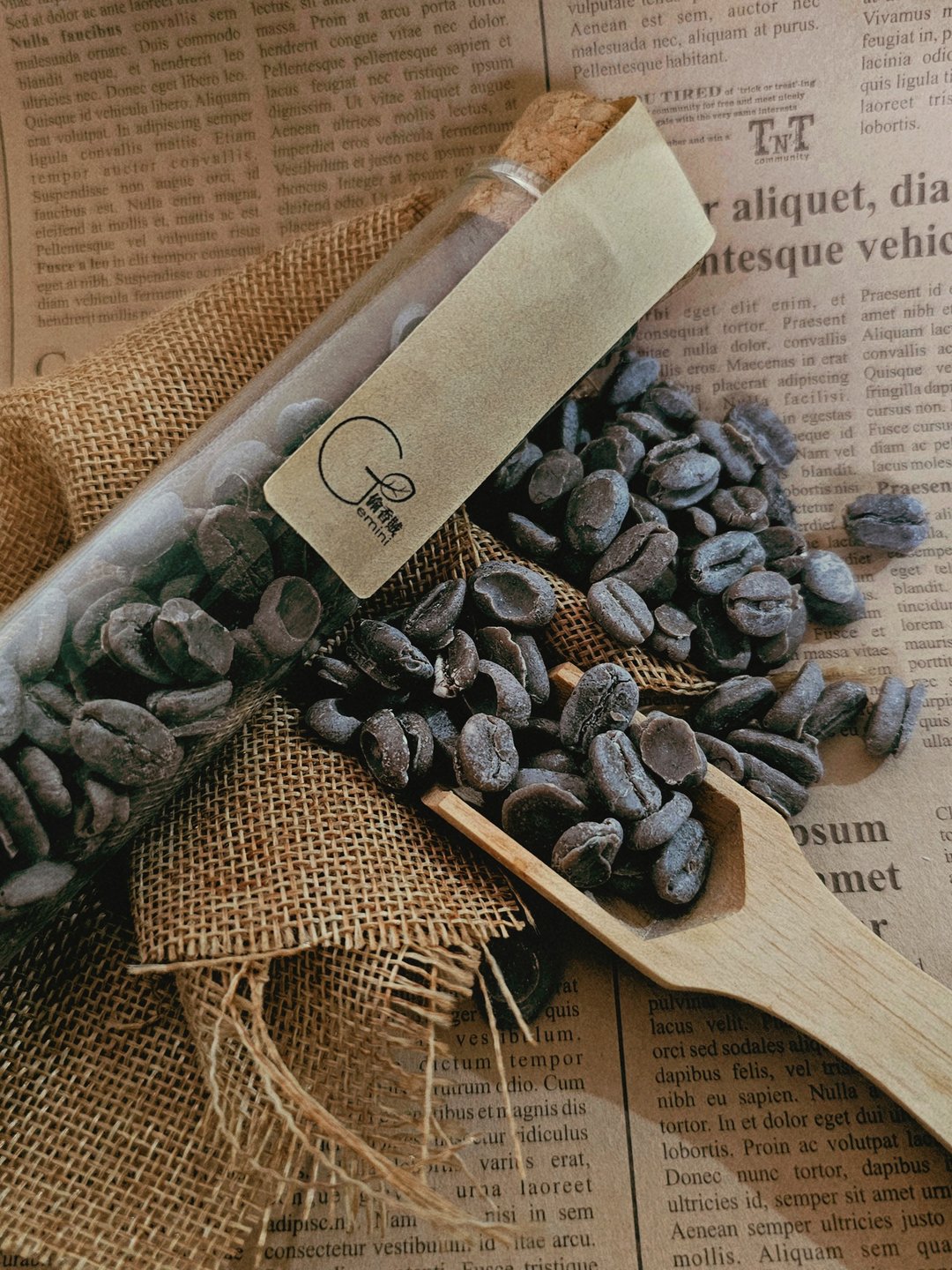 咖啡豆香氛蜡粒 - 香薰/精油/线香 - 蜡 
