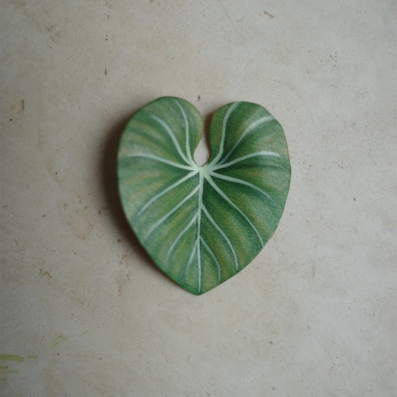 锦缎蔓绿绒 philodendron gloriosum - 摆饰 - 真皮 绿色