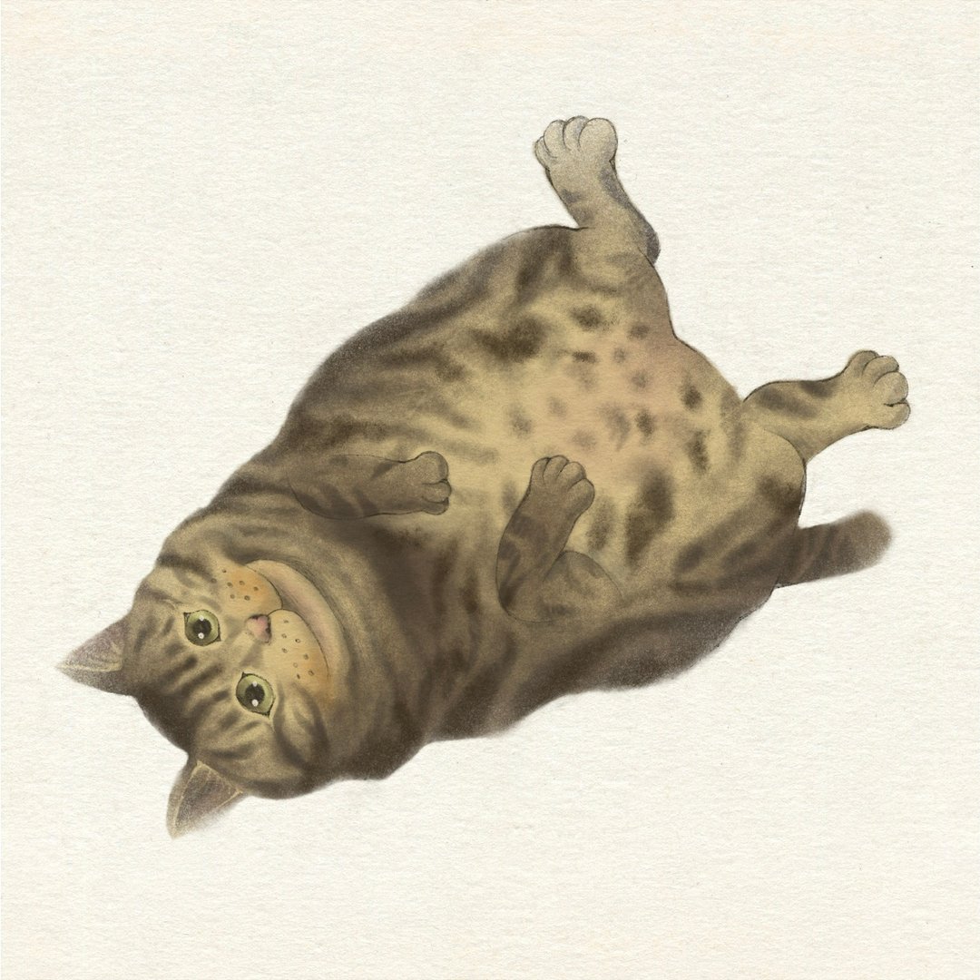 宠物插画 似颜绘 - 订制画像 - 其他材质 白色