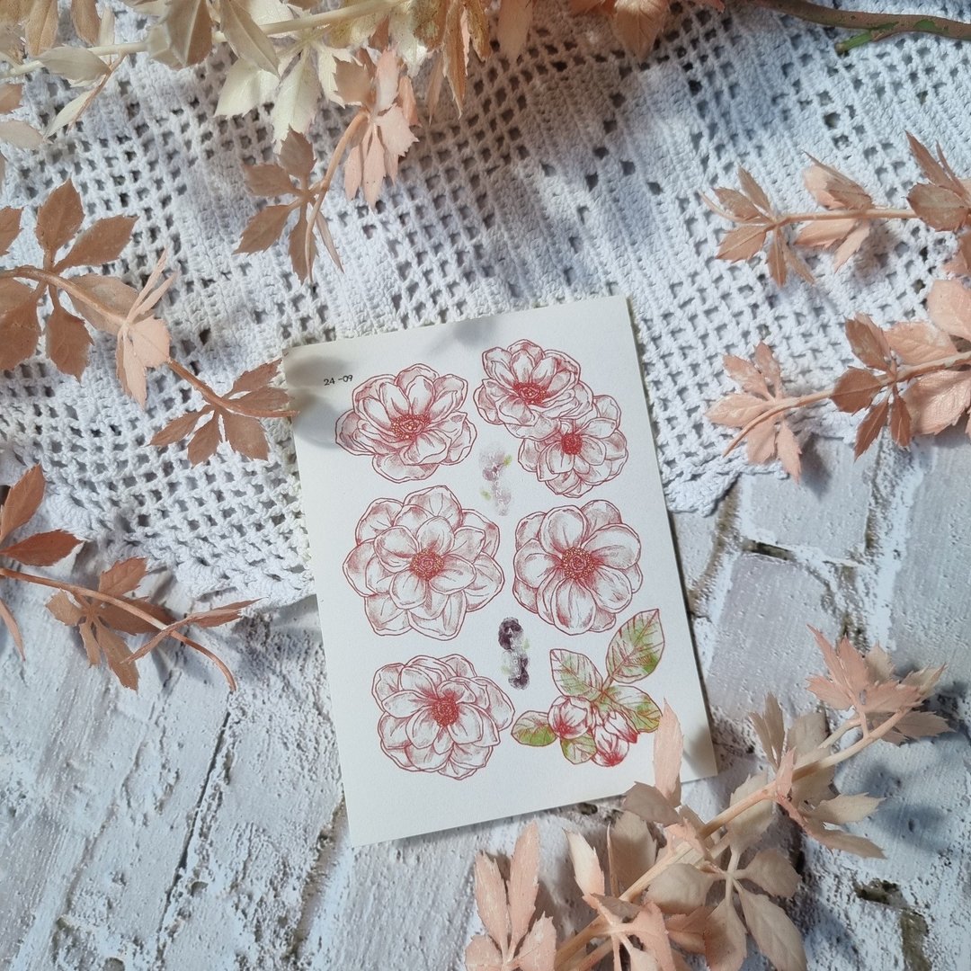 银莲花 - 贴纸 - 纸 
