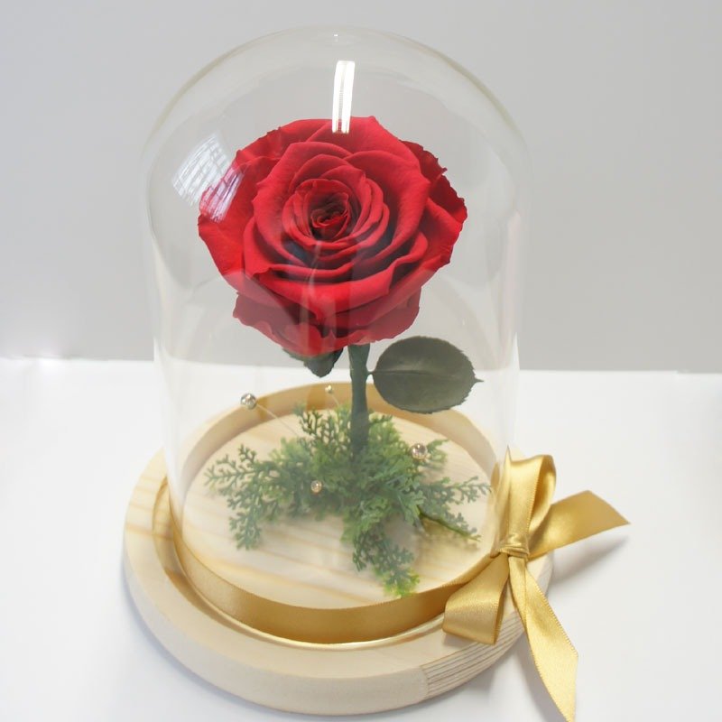 买一送一 不凋花玫瑰  大型玻璃罩花礼     桃粉色 - 干燥花/捧花 - 植物．花 红色