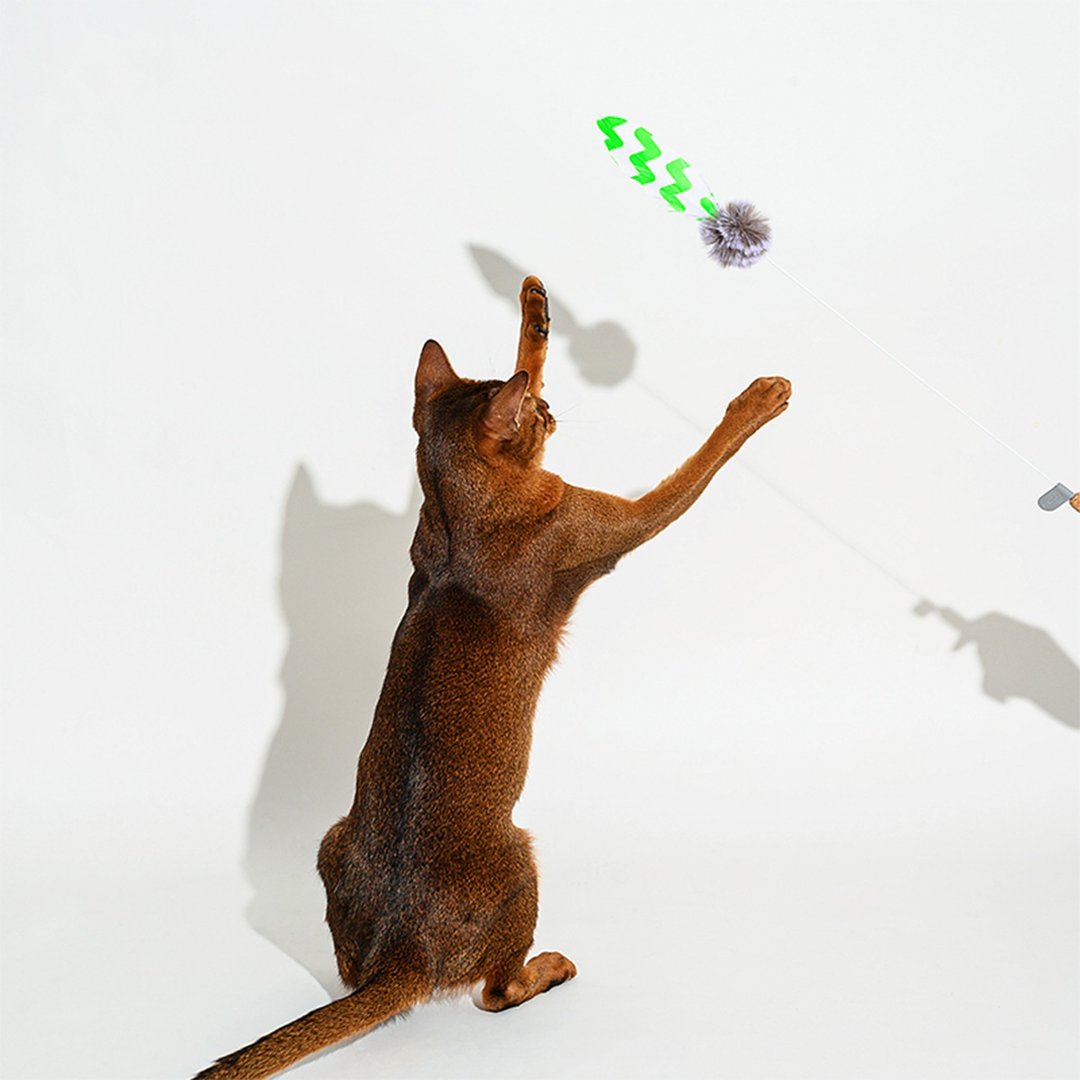 魔法羽毛逗猫棒 暗藏铃铛 天然环保 软木手柄 綠色電波 - 玩具 - 软木/水松木 绿色
