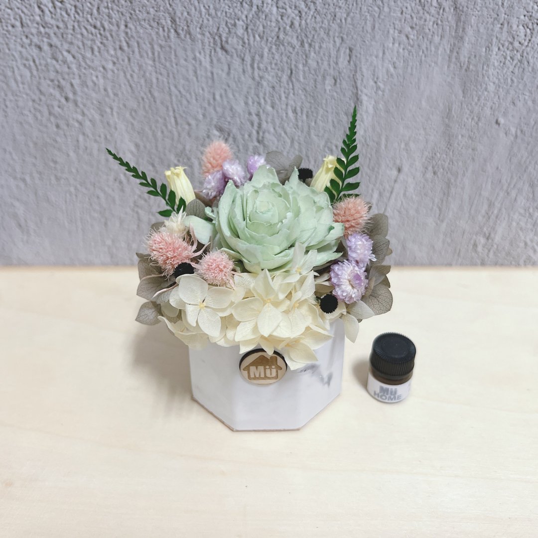 索拉花香氛小盆栽 干燥花 香氛石 附1ml香精油 - 干燥花/捧花 - 植物．花 绿色