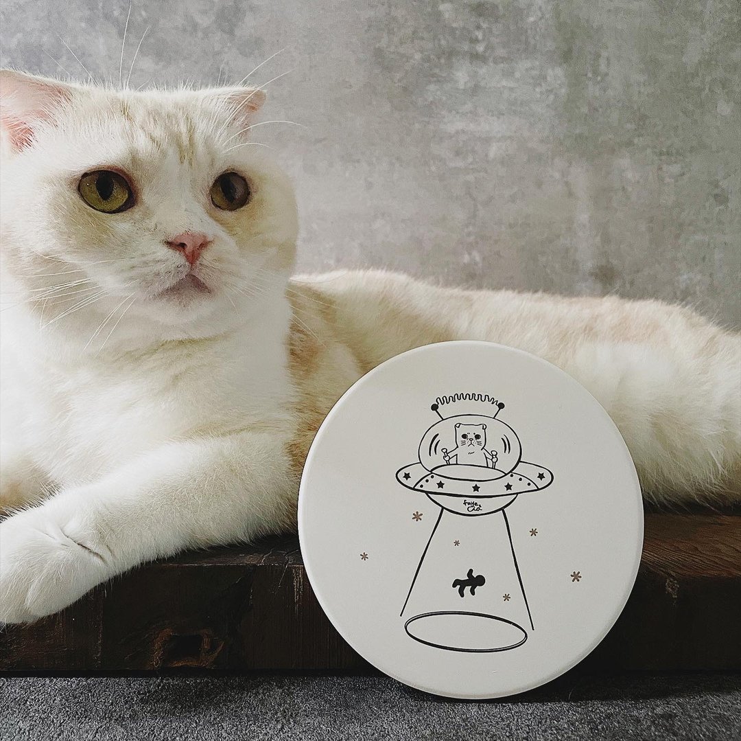 欢迎加入喵小队 | 喵星人白色陶瓷吸水杯垫 入厝送礼猫奴必备 - 杯垫 - 陶 白色