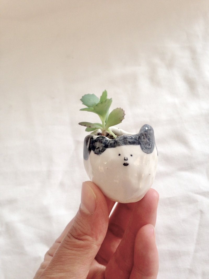 超小脸迷你盆栽--室内植物  办公桌小物  多肉 - 植栽/盆栽 - 陶 白色