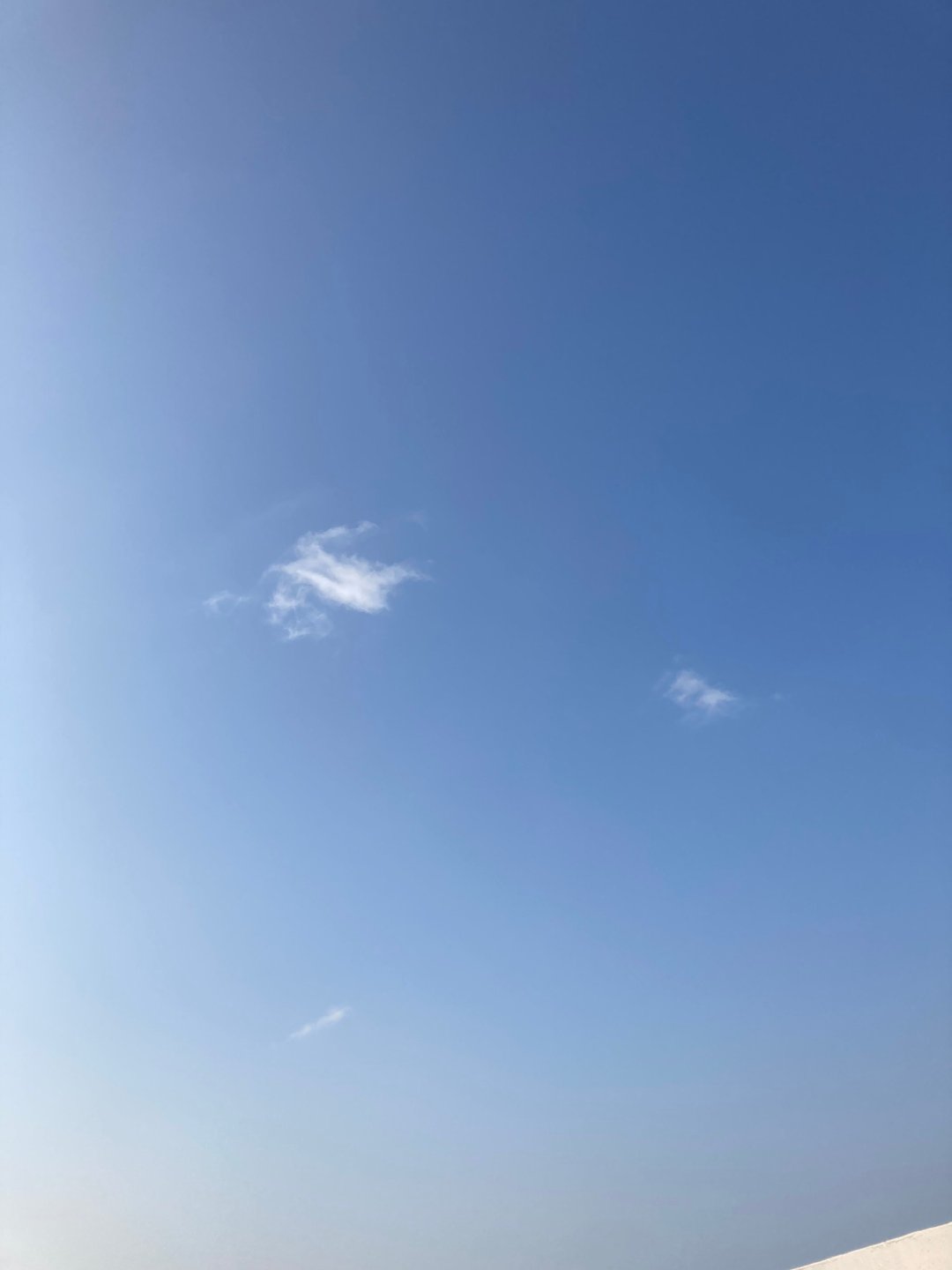 专属卖场 皮革颈链定制化订单 - 项链 - 真皮 