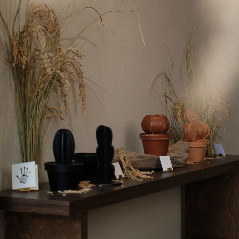 【革工芸】皮革仙人掌 置物盒 CACTACEAE 系列、原 茶 黑 - 植栽/盆栽 - 真皮 咖啡色
